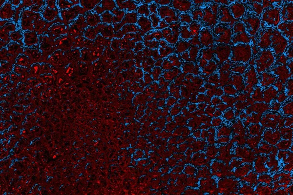 Boşluk duvar kağıdını, grunge arkaplanını, soyut renkli doku arkaplanını kopyala