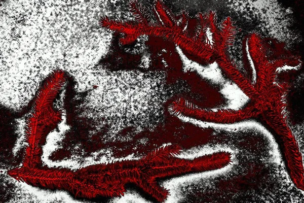 yaratıcı ve tasarım sanatı, kopyalama alanı duvar kağıdı, soyut renkli doku arkaplanı