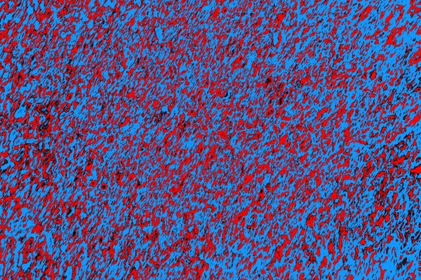 Boşluk duvar kağıdını, grunge arkaplanını, soyut renkli doku arkaplanını kopyala