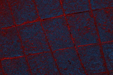 Boşluk duvar kağıdını, grunge arkaplanını, soyut renkli doku arkaplanını kopyala