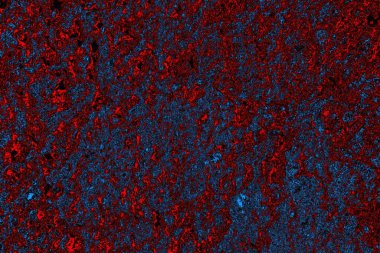 Boşluk duvar kağıdını, grunge arkaplanını, soyut renkli doku arkaplanını kopyala