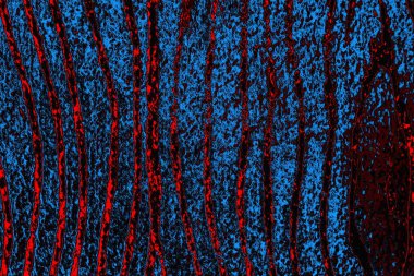 Boşluk duvar kağıdını, grunge arkaplanını, soyut renkli doku arkaplanını kopyala