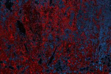 Boşluk duvar kağıdını, grunge arkaplanını, soyut renkli doku arkaplanını kopyala