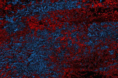 Boşluk duvar kağıdını, grunge arkaplanını, soyut renkli doku arkaplanını kopyala