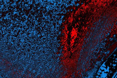 Boşluk duvar kağıdını, grunge arkaplanını, soyut renkli doku arkaplanını kopyala