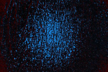 Boşluk duvar kağıdını, grunge arkaplanını, soyut renkli doku arkaplanını kopyala