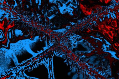 Karla kaplı kafes çiti. Kış zamanı. Şiddetli kar yağışıweather condition.