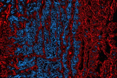 Boşluk duvar kağıdını, grunge arkaplanını, soyut renkli doku arkaplanını kopyala