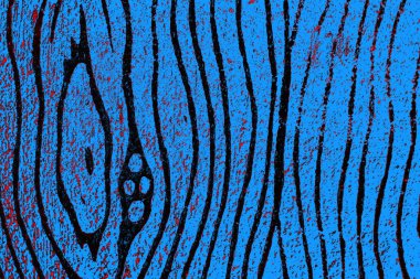  grunge arkaplanı, boşluk duvar kağıdını kopyala, soyut renkli doku arkaplanı