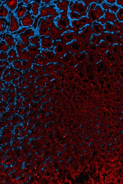 Boşluk duvar kağıdını, grunge arkaplanını, soyut renkli doku arkaplanını kopyala