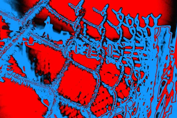 Karla kaplı kafes çiti. Kış zamanı. Şiddetli kar yağışıweather condition.