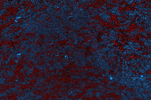 Boşluk duvar kağıdını, grunge arkaplanını, soyut renkli doku arkaplanını kopyala