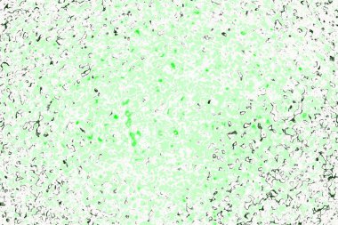 kopyalama alanı olan soyut yeşil desenli duvar