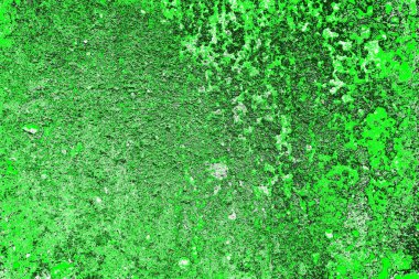 kopyalama alanı olan soyut yeşil desenli duvar