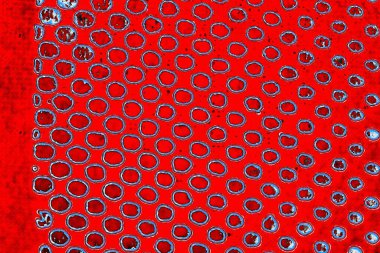 yaratıcı ve tasarım sanatı, kopyalama alanı duvar kağıdı, soyut renkli doku arkaplanı