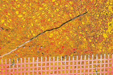 Soyut sanat duvar resmi. Modern, çağdaş sanat geçmişi