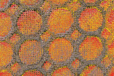 Soyut sanat duvar resmi. Modern, çağdaş sanat geçmişi