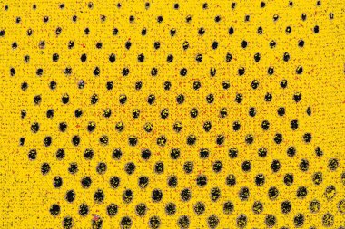 Soyut sanat duvar resmi. Modern, çağdaş sanat geçmişi