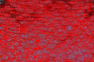 yaratıcı ve tasarım sanatı, kopyalama alanı duvar kağıdı, soyut renkli doku arkaplanı