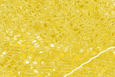 Kopya alanı olan soyut sarı desenli duvar