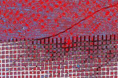 yaratıcı ve tasarım sanatı, kopyalama alanı duvar kağıdı, soyut renkli doku arkaplanı