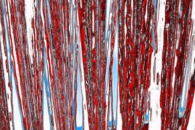  grunge arkaplanı, boşluk duvar kağıdını kopyala, soyut renkli doku arkaplanı