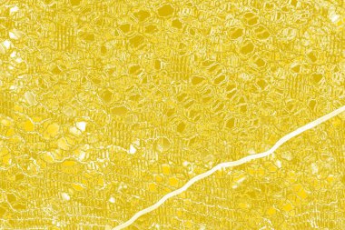 Kopya alanı olan soyut sarı desenli duvar