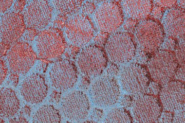  grunge arkaplanı, boşluk duvar kağıdını kopyala, soyut renkli doku arkaplanı