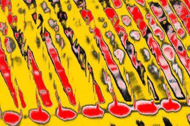 Soyut sanat duvar resmi. Modern, çağdaş sanat geçmişi