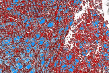  grunge arkaplanı, boşluk duvar kağıdını kopyala, soyut renkli doku arkaplanı