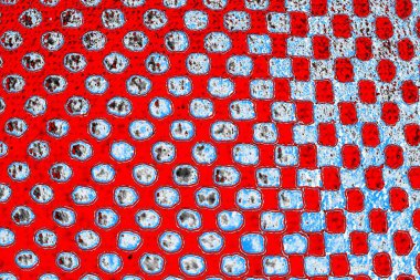 yaratıcı ve tasarım sanatı, kopyalama alanı duvar kağıdı, soyut renkli doku arkaplanı