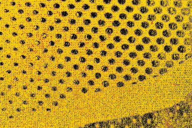 Soyut sanat duvar resmi. Modern, çağdaş sanat geçmişi