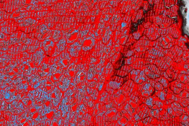 yaratıcı ve tasarım sanatı, kopyalama alanı duvar kağıdı, soyut renkli doku arkaplanı