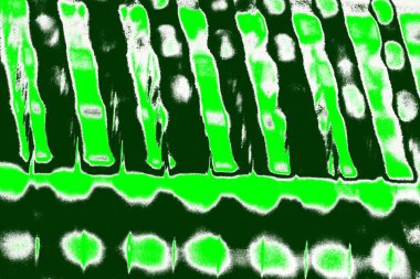 Soyut sanat duvar resmi. Modern, çağdaş sanat geçmişi