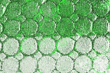 kopyalama alanı olan soyut yeşil desenli duvar