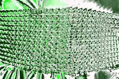 kopyalama alanı olan soyut yeşil desenli duvar