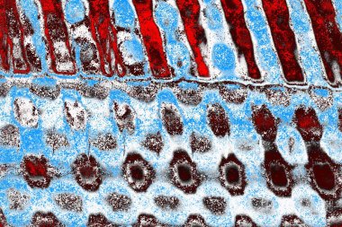  grunge arkaplanı, boşluk duvar kağıdını kopyala, soyut renkli doku arkaplanı