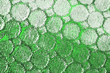 kopyalama alanı olan soyut yeşil desenli duvar