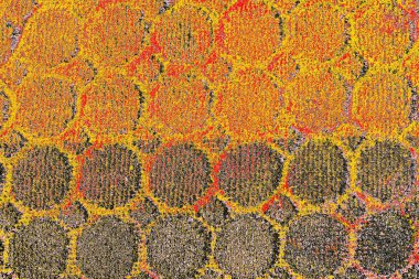 Soyut sanat duvar resmi. Modern, çağdaş sanat geçmişi