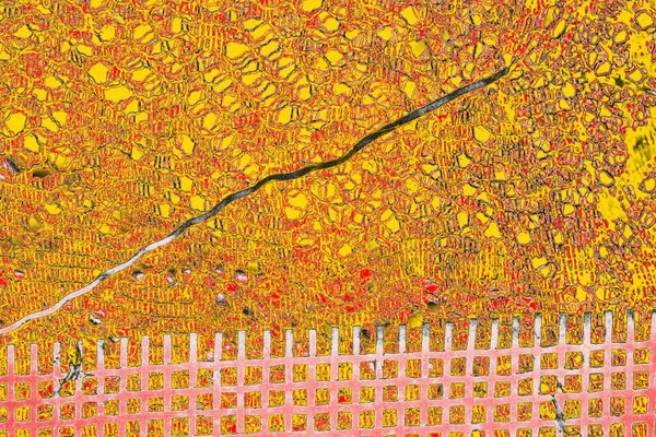 Soyut sanat duvar resmi. Modern, çağdaş sanat geçmişi