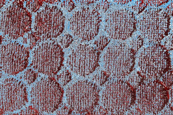  grunge arkaplanı, boşluk duvar kağıdını kopyala, soyut renkli doku arkaplanı