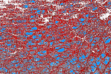  grunge arkaplanı, boşluk duvar kağıdını kopyala, soyut renkli doku arkaplanı