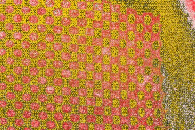 Soyut sanat duvar resmi. Modern, çağdaş sanat geçmişi