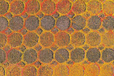 Soyut sanat duvar resmi. Modern, çağdaş sanat geçmişi