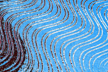  grunge arkaplanı, boşluk duvar kağıdını kopyala, soyut renkli doku arkaplanı