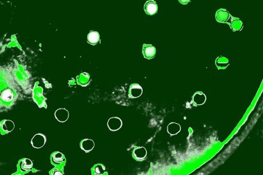 kopyalama alanı olan soyut yeşil desenli duvar