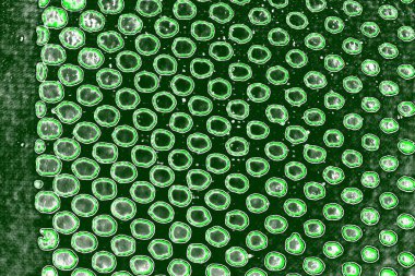 Soyut sanat duvar resmi. Modern, çağdaş sanat geçmişi