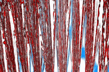  grunge arkaplanı, boşluk duvar kağıdını kopyala, soyut renkli doku arkaplanı