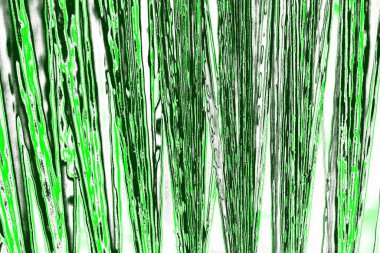 Soyut sanat duvar resmi. Modern, çağdaş sanat geçmişi