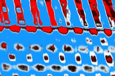 soyut renkli doku arkaplanı, uzay duvar kağıdını kopyala